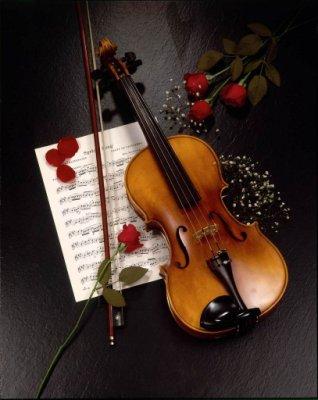 violinista per matrimoni lecce